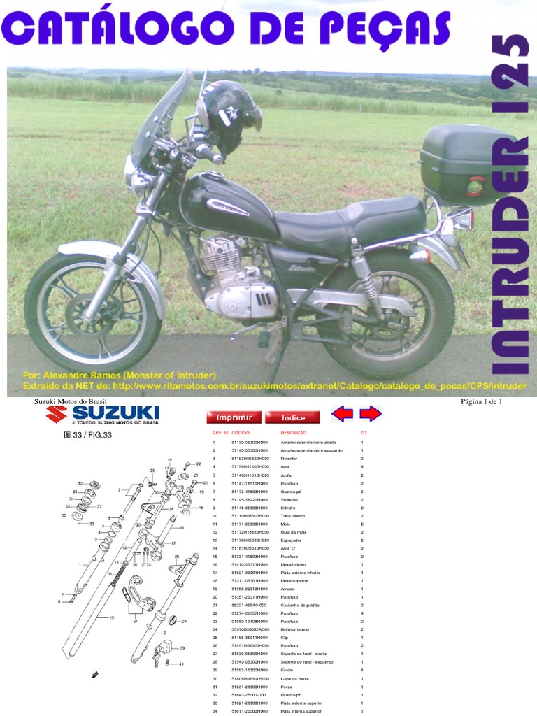 Par De Amortecedor Suzuki Intruder 125 Intruder 250