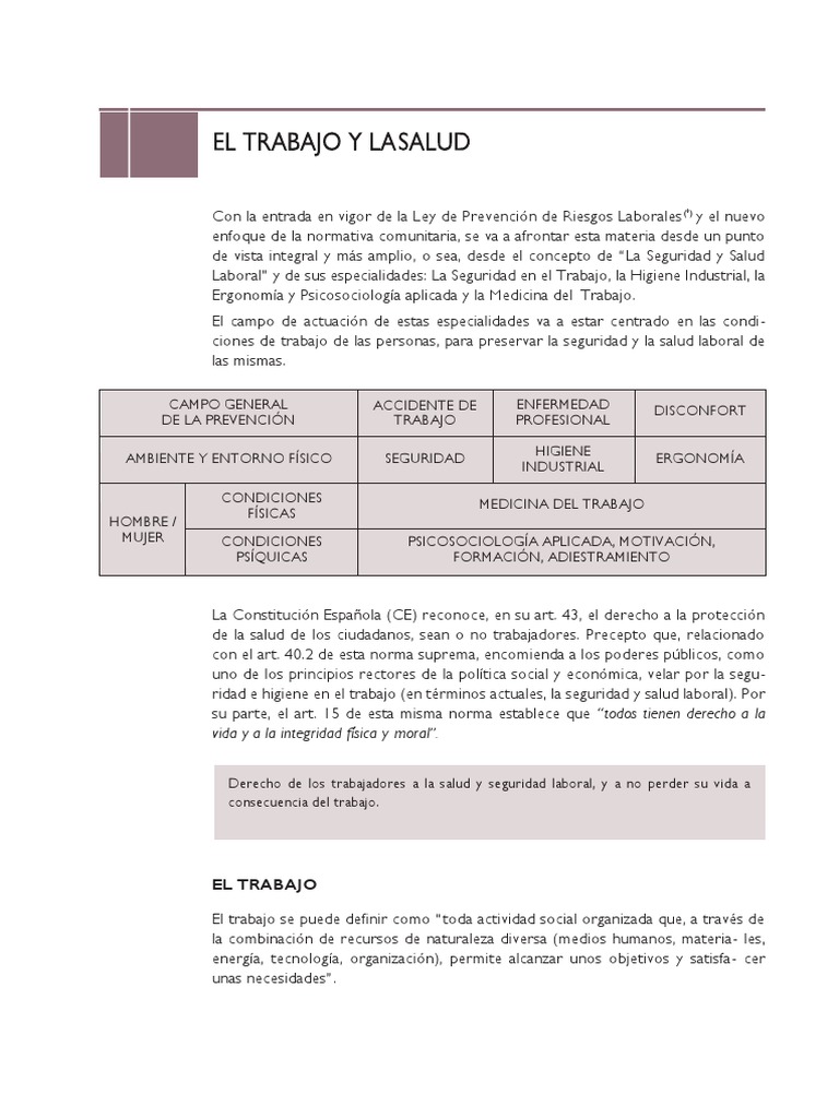 Prevención de Riesgos Laborales en Salud | PDF | Seguridad y salud ...