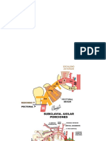 arteria subclavia.pptx