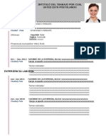 28-curriculum-vitae-contemporaneo-gris-97-2003.doc