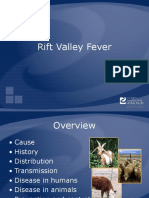 RVF PowerPoint