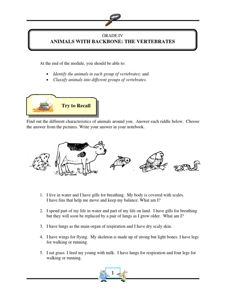 Animals With Backbones - The Vertebrates PDF | PDF | Amphibian | Reptile