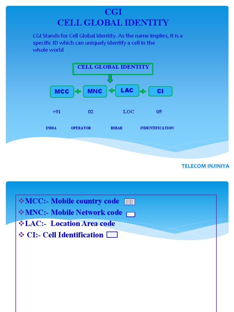 Understanding Cell Global Identity (CGI) | PDF
