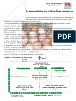 Modelo Agroecologica P 50 Ponedoras PDF