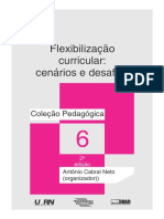 Flexibilizao.pdf