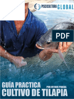 GUIA+PRACTICA+PARA+EL+CULTIVO+DE+TILAPIA