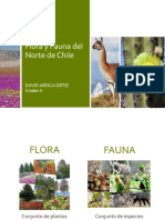 Flora y Fauna Del Norte de Chile