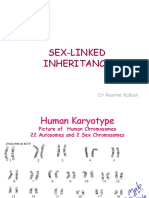 SEX-LINKED Inheritance - 6 PDF