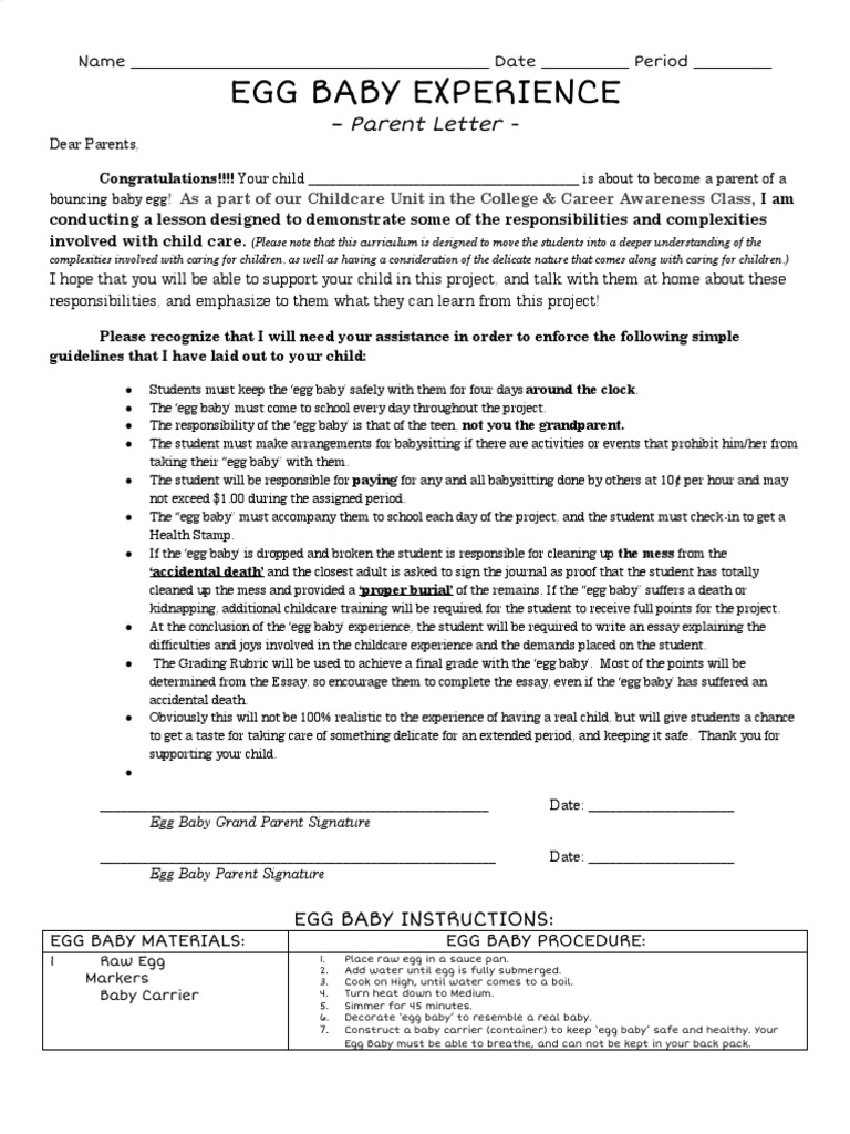 Egg Baby Experience PDF Child Care Relationships