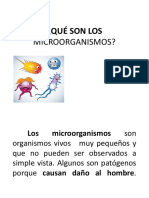 Los Microorganismos 2017