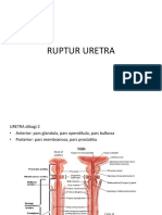 Ruptur Uretra