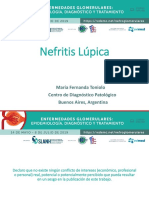 Enf Glomeru m2 Maria Fernanda Toniolo Lupus Nephritis Es Mq Rev Publ1