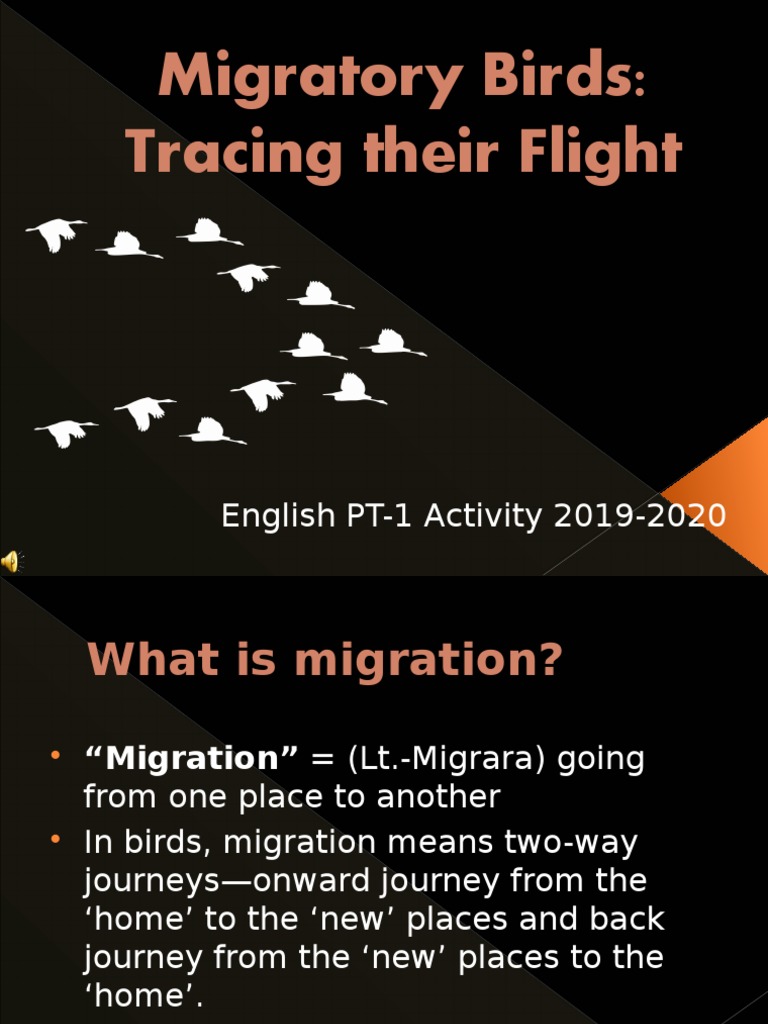 Migratory Birds Tracing Their Flight English PT1 Activity 20192020