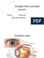 Anatomi Fisiologi Sistem Persepsi Sensori KMB