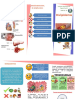 Dislipidemia Trptico