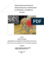 Informe Drosophila PDF