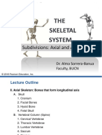 Skeletal Subdivisions