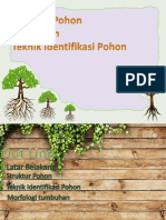 Struktur Pohon Dan Tenik Identifikasi Pohon