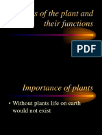 Plant Parts