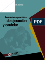 09 Los nuevos procesos de jecucion cautelar.pdf