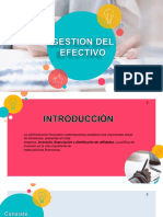 Gestion Del Efectivo