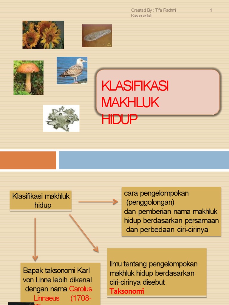 Klasifikasi Makhluk Hidup Created By Tifa Rachmi Kusumastuti