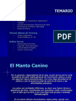 El Manto Canino PDF