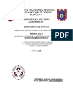 Practica 8 Fisicoquimica de Materiales Peligrosos Inflamabilidad