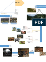 Infografia - Parque Nacional Cutervo