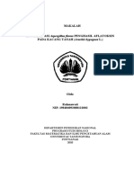 Makalah Aspergillus Flavus PDF