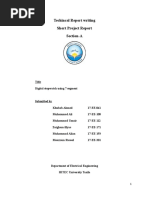 Techincal Report Writing Short Project Report Section-A