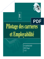 Pilotage Des Carrieres Employabilite