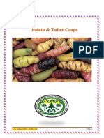 Potato Tuber Crops