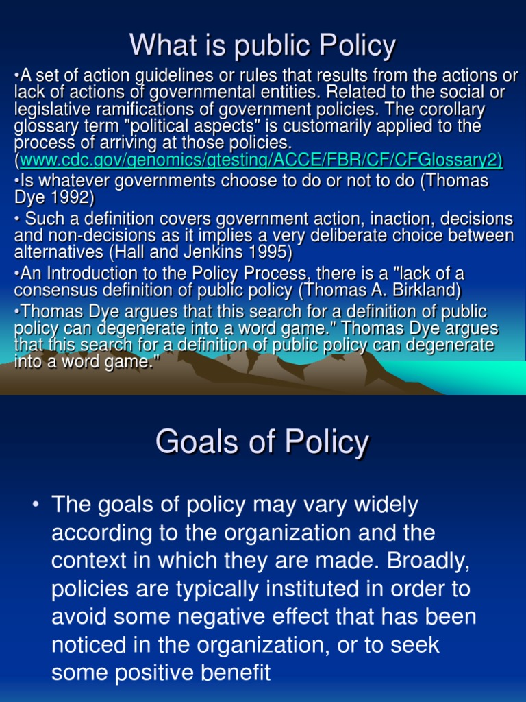 Understanding Public Policy Basics | PDF | Policy | Social Institutions