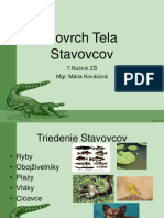 1.povrch Tela Stavovcov 7.ročník