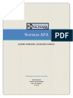 Normas Apa