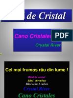 Riul de Cristal