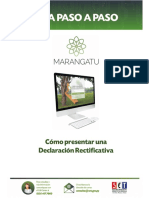 Guía Paso A Paso Declaración Rectificativa