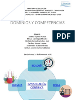 Presentación Dominios y Competencias (3)