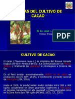 Plagas de Cacao I-2015 PDF