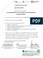 LA SEGURIDAD DE LA VACUNA DEL VPH_Certificado Español.pdf