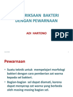 Pemeriksaan Bakteri Dengan Pewarnaan