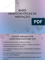 Bases Neuro Científicas Da Meditação