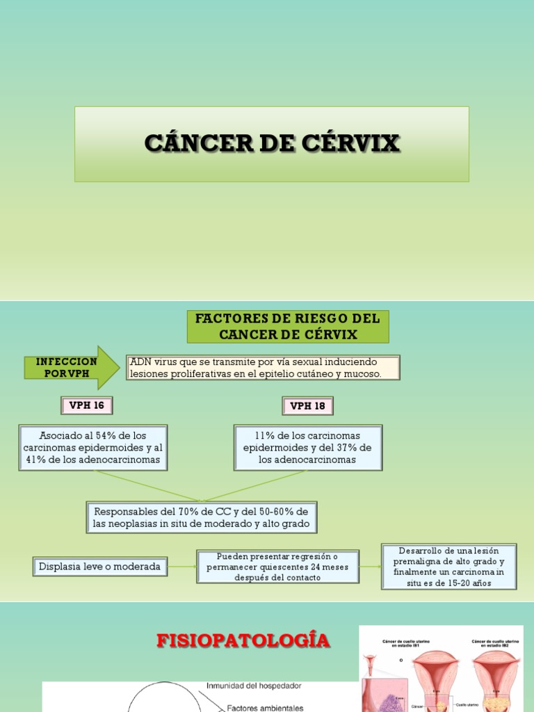 Cancer de Cervix PDF | PDF | Cáncer de cuello uterino | Cáncer