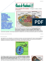 "Frataxina, Proteína Mitocondrial" PDF