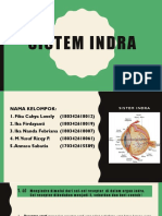 Sistem Indra (No 1)