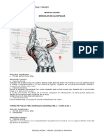 guia musculacion + procedimiento+ tecnica.pdf