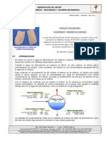 Purga Caldera PDF