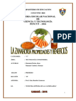 proyecto feria de ciencias la zanahoria.docx