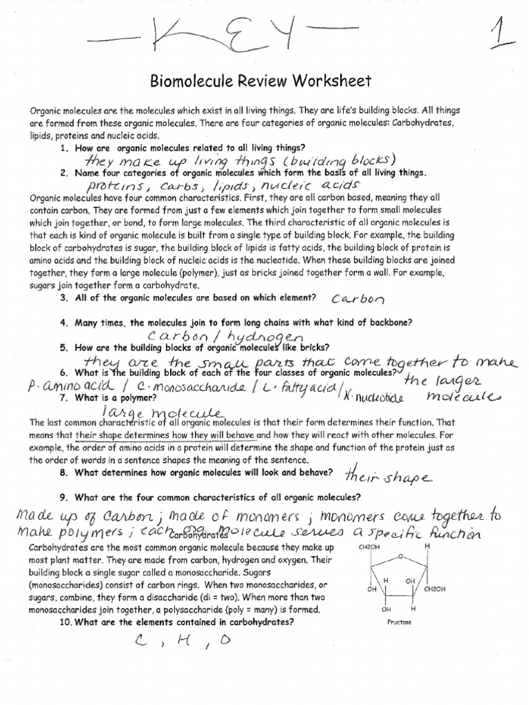Biomoleculereviewwksheetkey  PDF With Regard To Organic Molecules Worksheet Answer Key